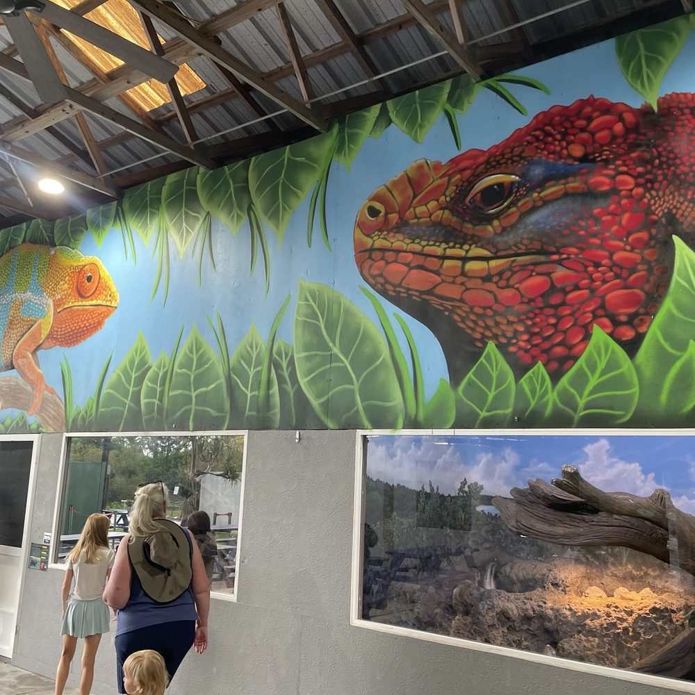 Iguanaland - Great indoor exhibit and fun murals - Zoos Near Me - Punta Gorda, Florida