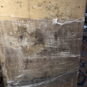 Let's Move It Right - Their storage facility has mold and spreads to all your belongings. They store your items in wooden crates that get moldy. - Self Storage Near Me Let's Move It Right - Their storage facility has mold and spreads to all your belongings. They store your items in wooden crates that get moldy. - Self Storage Near Me
