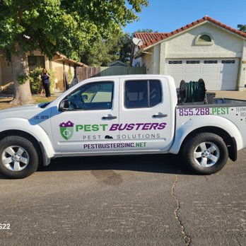 Pest Busters Pest Solutions - Pest Control Near Me - Antioch, California Pest Busters Pest Solutions - Pest Control Near Me - Antioch, California
