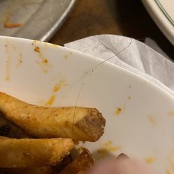 Borough BBQ - Picture of side order of the fries I ordered with a hair in it...