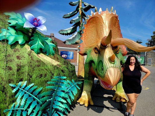 The Buffalo Zoo by null