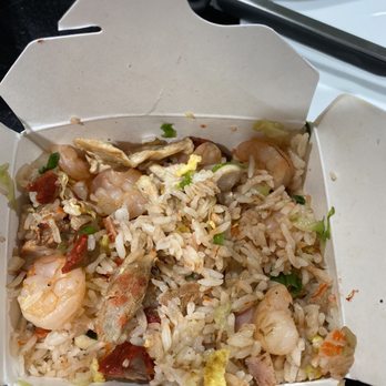 Canton Palace Chinese Restaurant - Young Chow Fried Rice - Dim Sum Near Me - Miami, Florida