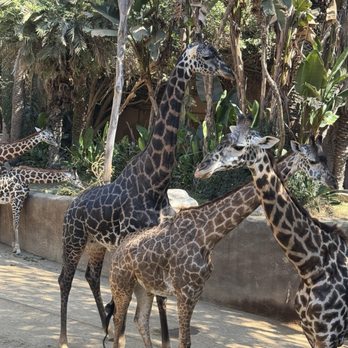LOS ANGELES ZOO AND BOTANICAL GARDEN - Updated May 2025 - 7753 Photos ...