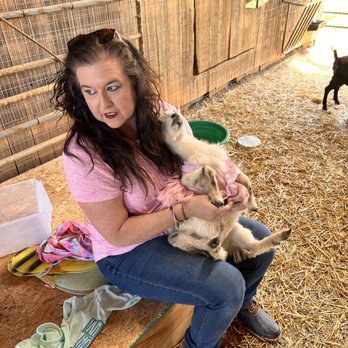 Goat Yoga Shoals - Yoga Near Me - Tuscumbia, Alabama