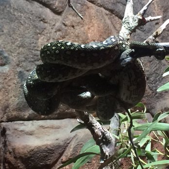 Sydney Wildlife World - Zoos Near Me - Darling Harbour, NSW