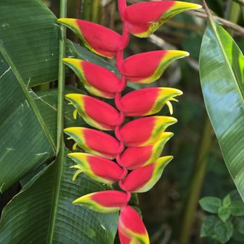 Hike Maui - Tours Near Me - Kahului, Hawaii