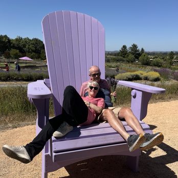 Bees N Blooms - Giant lavender chair for photos - Nurseries & Gardening Near Me - Santa Rosa, California Bees N Blooms - Giant lavender chair for photos - Nurseries & Gardening Near Me - Santa Rosa, California