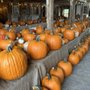 Stone Mountain Farm