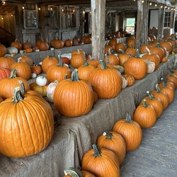 Stone Mountain Farm - Have your pick!