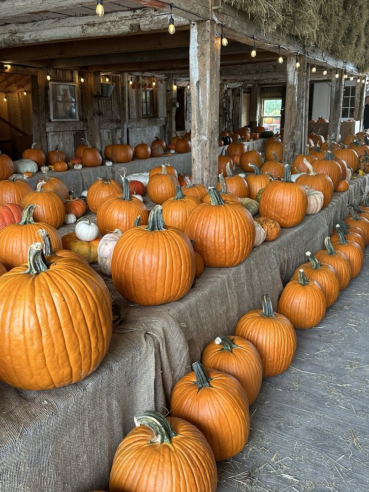 Stone Mountain Farm Logo