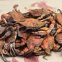 Photo of Cox Creek Crab & Seafood