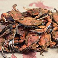 Cox Creek Crab & Seafood - Crabs