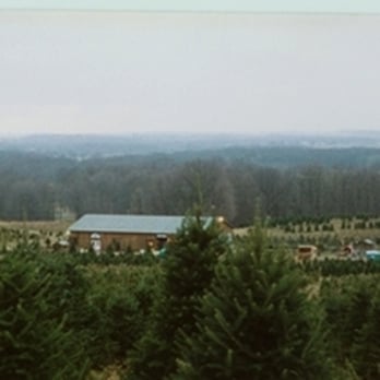 Galehouse Tree Farms - Nurseries & Gardening Near Me - Doylestown, Ohio Galehouse Tree Farms - Nurseries & Gardening Near Me - Doylestown, Ohio