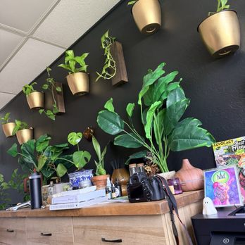 Ritual Wellness Space - Counseling & Mental Health Near Me - Fort Myers, Florida Ritual Wellness Space - Counseling & Mental Health Near Me - Fort Myers, Florida
