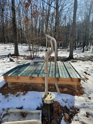 Dwyers Services Logo