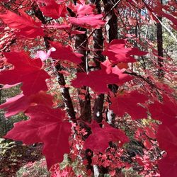 Horton Creek Trail