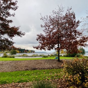 Juanita Beach Park - Fall! Today's walk.. - Beaches Near Me - Kirkland, Washington