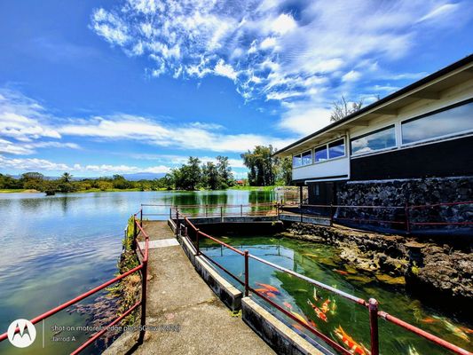 The Seaside Restaurant and Aqua Farm by null
