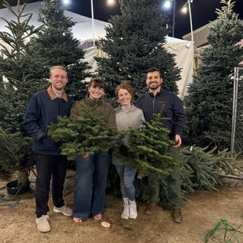 Santa & Mikey's Fresh Christmas Trees - We also had to get mini trees! They were too dang cute! Such a fun excursion to do with family or friends. - Christmas Trees Near Me - Pasadena, California Santa & Mikey's Fresh Christmas Trees - We also had to get mini trees! They were too dang cute! Such a fun excursion to do with family or friends. - Christmas Trees Near Me - Pasadena, California