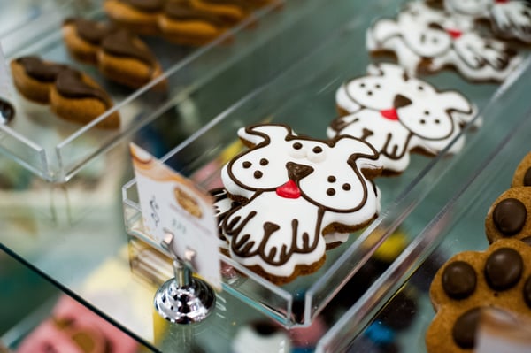 Bella & Lindy Pet Boutique by null