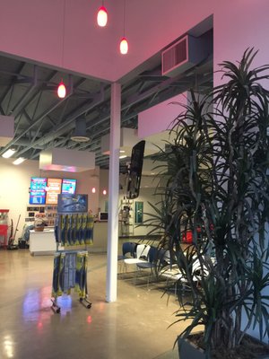 WIGGY WASH - Updated June 2025 - 28 Photos & 41 Reviews - 794 S Main St