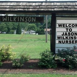Jason Wilkinson Nursery