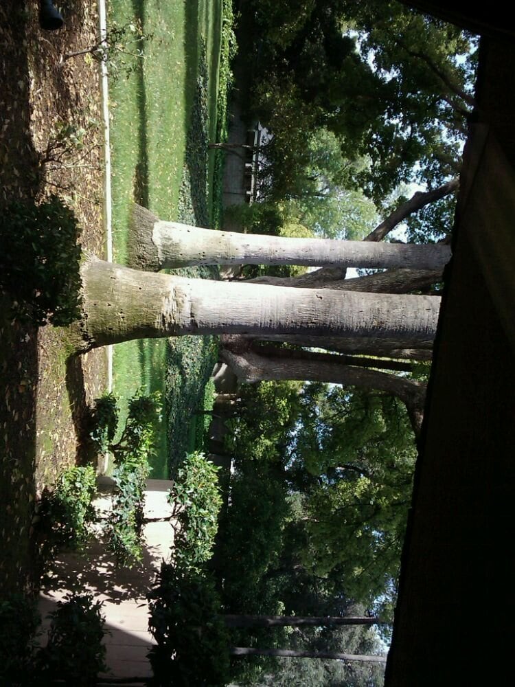 HARRIS JAMES T DDS RIVERSIDE DENTAL GROUP Updated September 2024 7251 Magnolia Ave