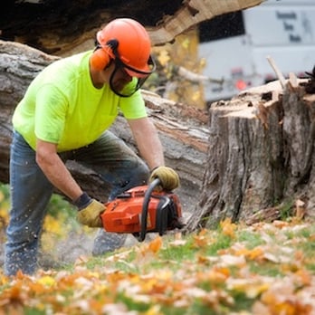 Sunset Valley Landscape & Tree Service - Big Tree removal - Tree Services Near Me Sunset Valley Landscape & Tree Service - Big Tree removal - Tree Services Near Me