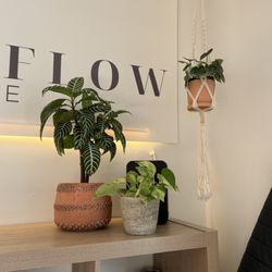 Collective Flow