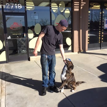 Baxters Pet Grooming - Ka$h showing off his new haircut - Pet Groomers Near Me - Lancaster, California Baxters Pet Grooming - Ka$h showing off his new haircut - Pet Groomers Near Me - Lancaster, California