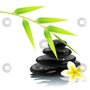 Photo of Ambiance Massage Therapy  LLC