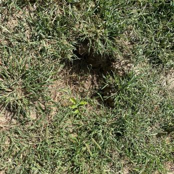 Foundation Recovery Systems - Holes, about a foot deep. - Waterproofing Near Me - Moberly, Missouri