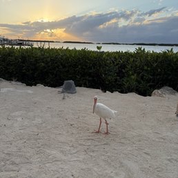 View from our table on the beach