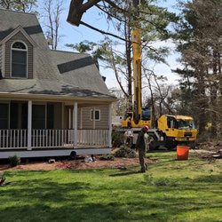 Todd Cambra Certified Arborist