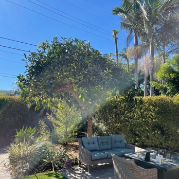 Your Way Tree Service - Tree Services Near Me