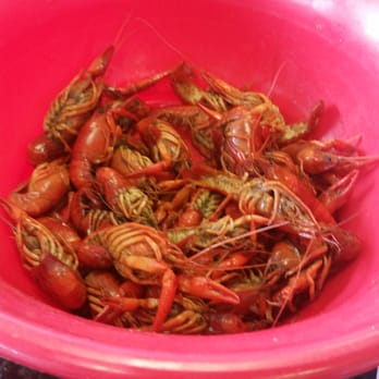 Kims Seafood - Crawfish left :( wasted money - Seafood Near Me - Bossier City, Louisiana Kims Seafood - Crawfish left :( wasted money - Seafood Near Me - Bossier City, Louisiana