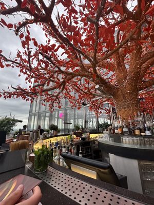 SUSHISAMBA London by null
