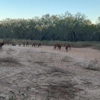 Independence Ranch - Wildlife Hunting Ranges Near Me - Waelder, Texas