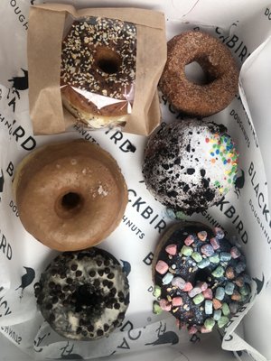 Blackbird Doughnuts / Sally's Sandwiches - Brighton by null