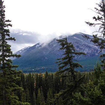 The Juniper Bistro - Amazing views - Canadian (New) Near Me - Banff, Alberta The Juniper Bistro - Amazing views - Canadian (New) Near Me - Banff, Alberta