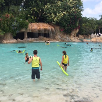 Discovery Cove - Amazing tropical park with caves, waterfalls, and beach like pools!! - Amusement Parks Near Me - Orlando, Florida Discovery Cove - Amazing tropical park with caves, waterfalls, and beach like pools!! - Amusement Parks Near Me - Orlando, Florida