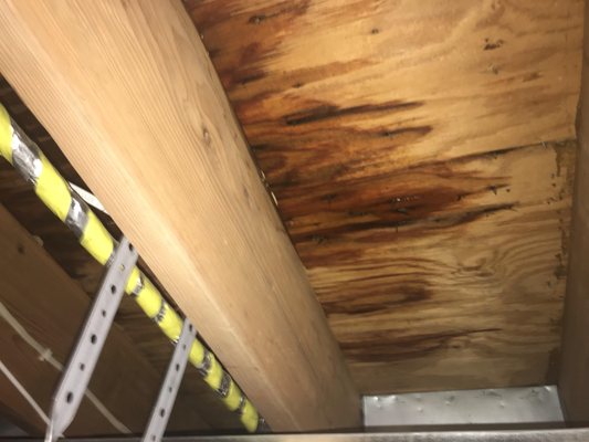 Nickson Home Serivces Logo