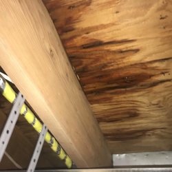 Nickson Home Serivces