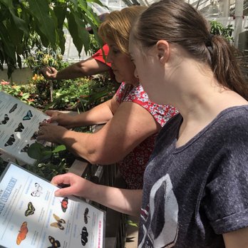 Butterfly Biosphere - Laminated identification cards provided - Children's Museums Near Me - Lehi, Utah