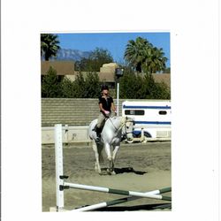 The Hope Equestrian Center - Love this place and bought a great horse here too. The best barn.