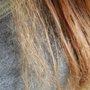 Photo of Heavenly Hair Creations by Darlene