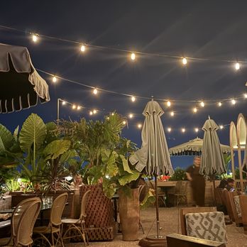 Lost Palm - Bars Near Me - Lexington, Kentucky