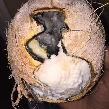 El Super - Bad bad coconut - Grocery Near Me - Panorama City, California El Super - Bad bad coconut - Grocery Near Me - Panorama City, California