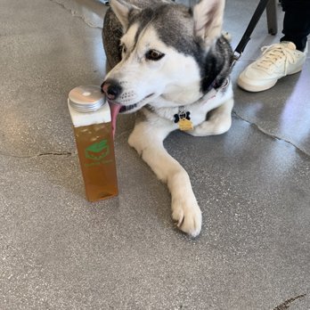 Boba Box - Honey Green Tea - Coffee & Tea Near Me - Monrovia, California Boba Box - Honey Green Tea - Coffee & Tea Near Me - Monrovia, California
