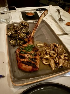 Troquet on South by null